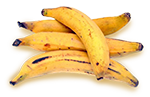 banana terra